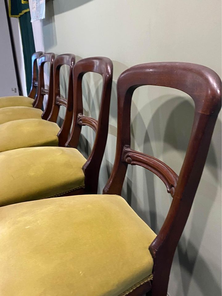 Antique Dining Chairs Solid Mahogany