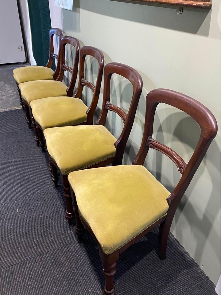 Antique Dining Chairs Solid Mahogany